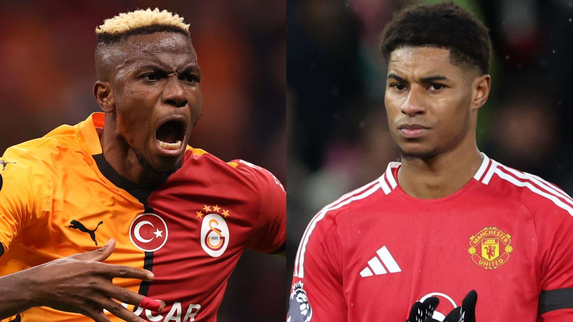 员参加国际 员参加国际