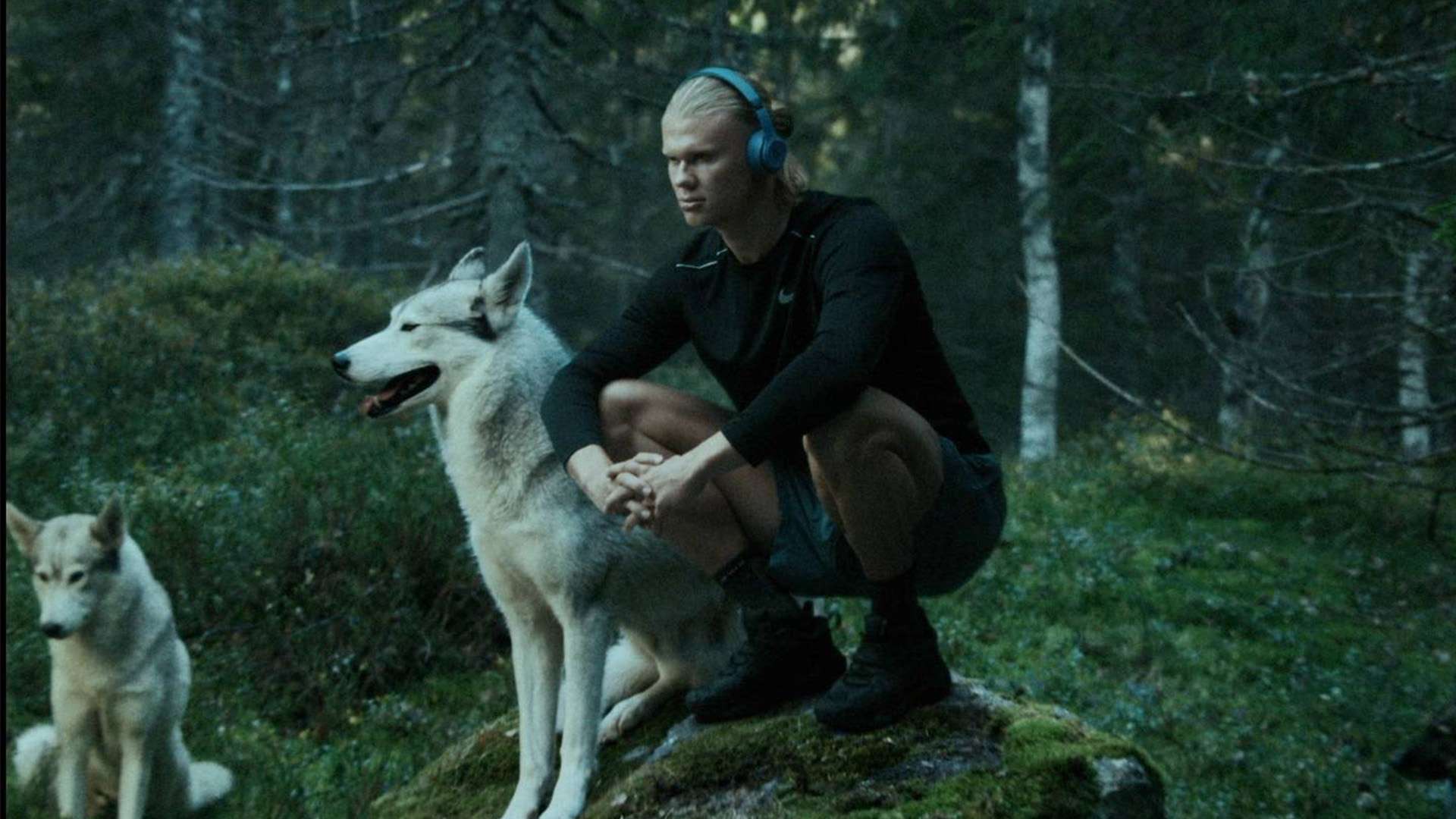 名将本田圭 名将本田圭